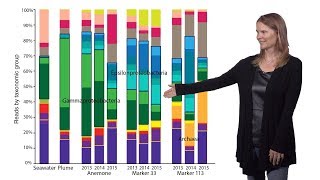 Julie Huber (WHOI) 2: Subseafloor Life at Axial Seamount