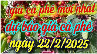 giá cà phê hôm nay ngày 22/2/2025