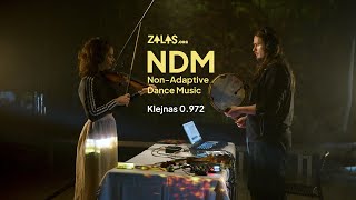 NDM, Klejnas 0.972 | Zalas.org