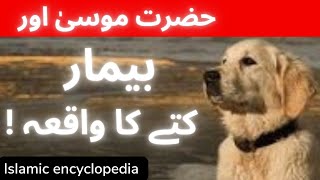 حضرت موسیٰ علیہ السلام اور بیمار کتے کا واقعہ || story of prophet mussa|| Hazrat Musa ||qassulanbiy