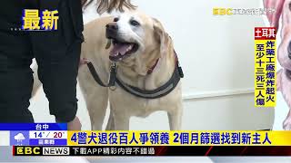 台中4元老警犬榮退 百人爭領養找到新主人 @newsebc