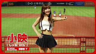 Dragons Tempo🐉 小映 ( しゃおいん ）Dragon Beauties 小龍女 味全龍啦啦隊  天母棒球場 2024/8/8【台湾チアTV】