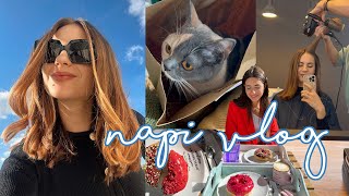 NAPI VLOG: Eszti szülinapi meglepetése, hajvágás, Tofi cica