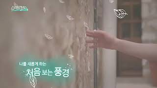[소녀포레스트] Teaser2. 소녀시대-Oh!GG의 행복한 “Separately and also together” (출처 : 소녀포레스트 - SM CCC LAB | 네이버TV)