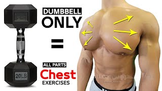 7 BEST CHEST EXERCISES WITH DUMBELLS ONLY 🎯