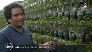 Inde : Quand les murs ont des jardins