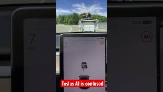 ORIGINAL viral #tesla vs #carriage - Tesla vs. Pferdekutsche