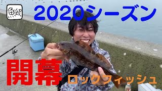 【ロックフィッシュ】2020年シーズン開幕！根魚、青物、釣り勝負！