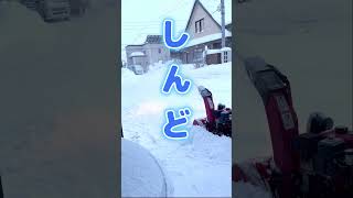 【大雪警報！】北海道の冬 #shorts #大雪警報 #北海道 #除雪機 #snow