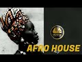 🔥SOUTH AFRICAN HOUSE MIX 2022 | ARGENTO DUST, DJ TOMER & RICARDO, NOTRE DAME, NOMVULA SA, BENNY T 🕺💃