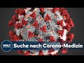 WELT INTERVIEW ZU CORONAVIRUS: Es gibt ein Medikament das Covid-19 bremsen könnte