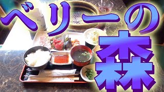 千葉は凄いぞ！！『木更津市ほたる野』