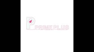 Primeplus Logo