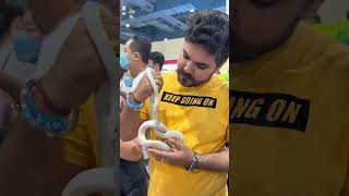 pet expo at mid valley mall ❤ #viral #pets #animals #love #shorts #short #youtube #youtubeshorts