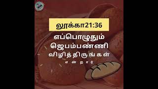 அனுதின அப்பம் , 29th April 2022 , Friday    லூக்கா21:36