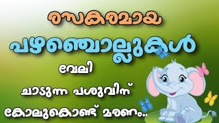 നമ്മുടെ പണ്ടത്തെ മുത്തശ്ശിമാരുടെ പഴഞ്ചൊല്ലുകൾ | Proverb in Malayalam #രസകരമായ #പഴഞ്ചൊല്ലുകൾ