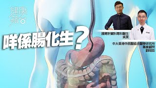 長期胃痛可引發胃炎及「腸化生」胃細胞變成腸細胞 胃癌先兆 食中藥 90% 病人可改善 #健康蘋台－果籽 香港 Apple Daily—原刊日期：20200220