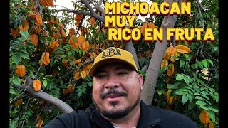 QUE RICO ES MICHOACAN CON TANTA VARIEDAD DE RICAS FRUTAS #frutas #region #michoacán #trabajo #region