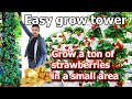 How to build strawberry Tower Garden