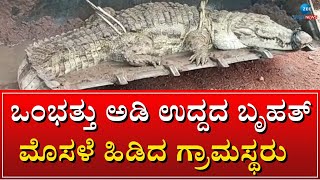 Bagalkot | Crocodile | ಬೃಹತ್‌ ಆಕಾರದ ಮೊಸಳೆ ಹಿಡಿಯಲು ಬುಲ್ಡೋಜರ್ ಬಳಕೆ