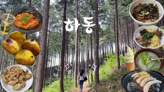 [하동 여행VLOG] 섬진강 재첩국,지리산 흑돼지 삼겹살,녹차 아이스크림,쌍계사,지리산 산채비빔밥,편백자연휴양림,휘게스테이,진교반점