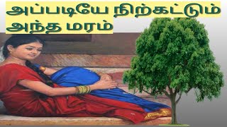 அப்படியே நிற்கட்டும் அந்த மரம்/ஏழாம் வகுப்பு/இயல்-2