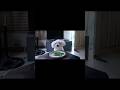 My dog loves to eat okra  #dog #youtube #shortvideo #okra #youtube #doglover #dogshorts