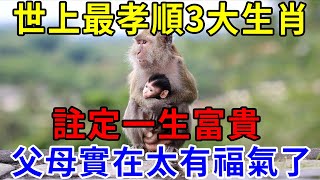 有福之人！師父說：這3大生肖最孝順父母，一生福祿雙全，好運連連！ 為父母轉走吧，菩薩賜福保佑，父母健康百歲富貴有天| 帝王改命學