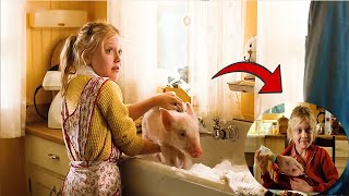 Charlotte's Web (2006)| Movie Explained in Hindi/Urdu Summarized हिन्दी