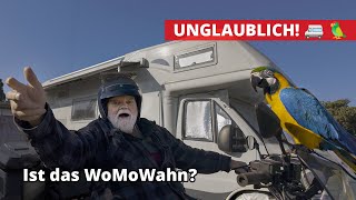 75-jähriger reist mit Papagei durch Europa! 🚐🦜 Leben im Wohnmobil ✨