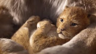 The Lion King | Retelling the Story