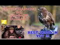 How To Capture The Best Bird of Prey Images (Full Buzzard Photography Session)