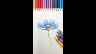 【彩鉛教學】彩鉛超詳細講解 花朵的畫法丨color pencil drawing