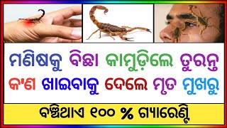 Odia Gk Questions And Answers ।। General Knowledge Odia ।। Odia Gk Quiz ।। Gk In Odia ।। Odia Gk