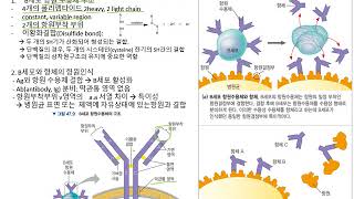 일반생물학 47장 - 2