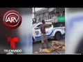 Desenterró a su madre para reclamarle su herencia | Al Rojo Vivo | Telemundo