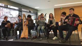 Craobh chualann Tradfest 2019