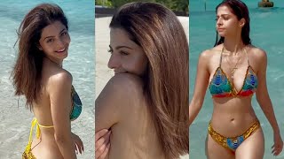 Vedhika Enjoying at Maldives Beach | Actress Vedhika iN Bikini Video | Bollywood Hot Actress