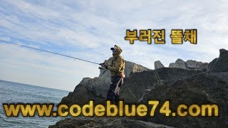 codeblue 뜰채가 부러진날!!  bbs93ml.87ml농어로드