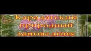 Кара-Даг документальный фильм