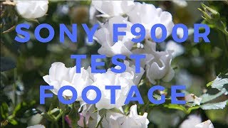 Sony F900R Test Footage (Shogun Flame)