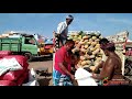 first quality sambar pumpkin for exports oddanchatram vegetable market