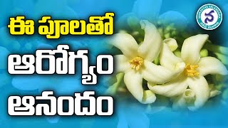 These Flowers improves Health || ఈ పూలతో ఆరోగ్యం ఆనందం || Natural Food For Health || Health Tips