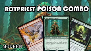 Is ROTPRIEST POISON COMBO the future of Infect? | Modern | MTG | MTGO