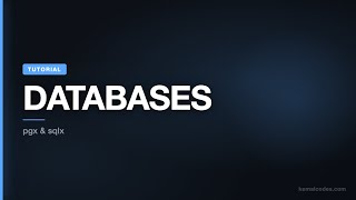 Go Tutorial #20: Databases in Go — PostgreSQL with pgx & sqlx