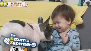 William Got SO UPSET When Dogs Took His Snacks! [The Return of Superman Ep 213]