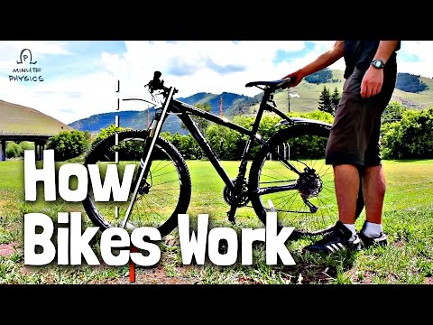 What makes a bike stay upright?