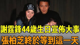 謝霆鋒44歲生日宣佈大事，張柏芝痛哭流涕終於等到這一天，王菲緊急趕往現場也晚了#謝霆鋒 #張柏芝 #王菲 #娛樂大嘴巴