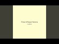 Pulse Whisper Serene