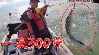 Xiao Zhang takes a master to go out to sea, challenge for 300 catties a day, and the two are crazy